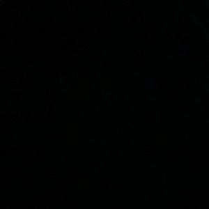 Meet your Posher, Julii